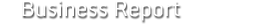 Business Report